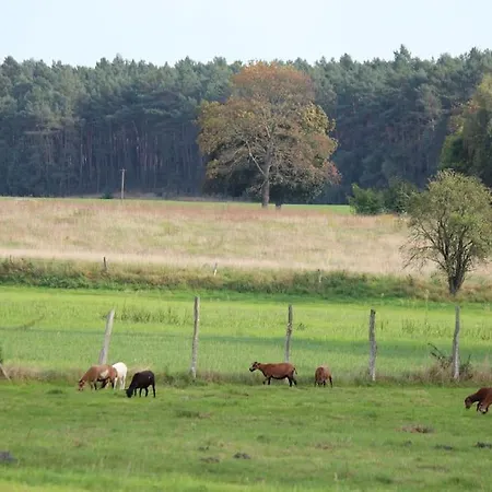 Apartamento Wunderlich Kleine Ferienwohnung Auf Dem Land