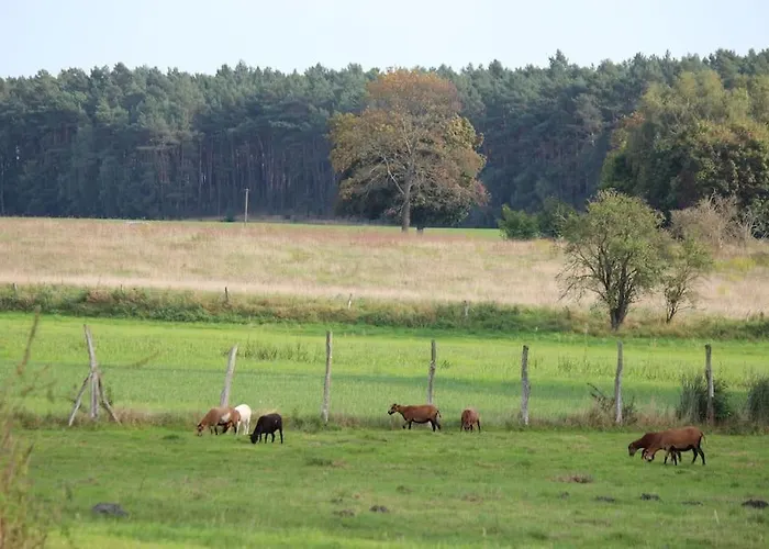Apartamento Wunderlich Kleine Ferienwohnung Auf Dem Land